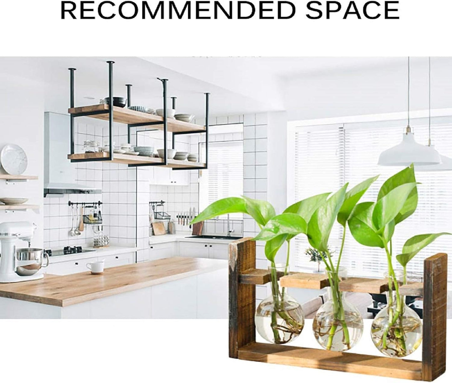 Glass Plant Terrarium - 3 Bulbs Propagation Station with Retro Wood Stand Indoor Garden Planter, Bulb Vase & Desktop Decor for Home Kitchen Wedding, Gift for Women & Plant Lover