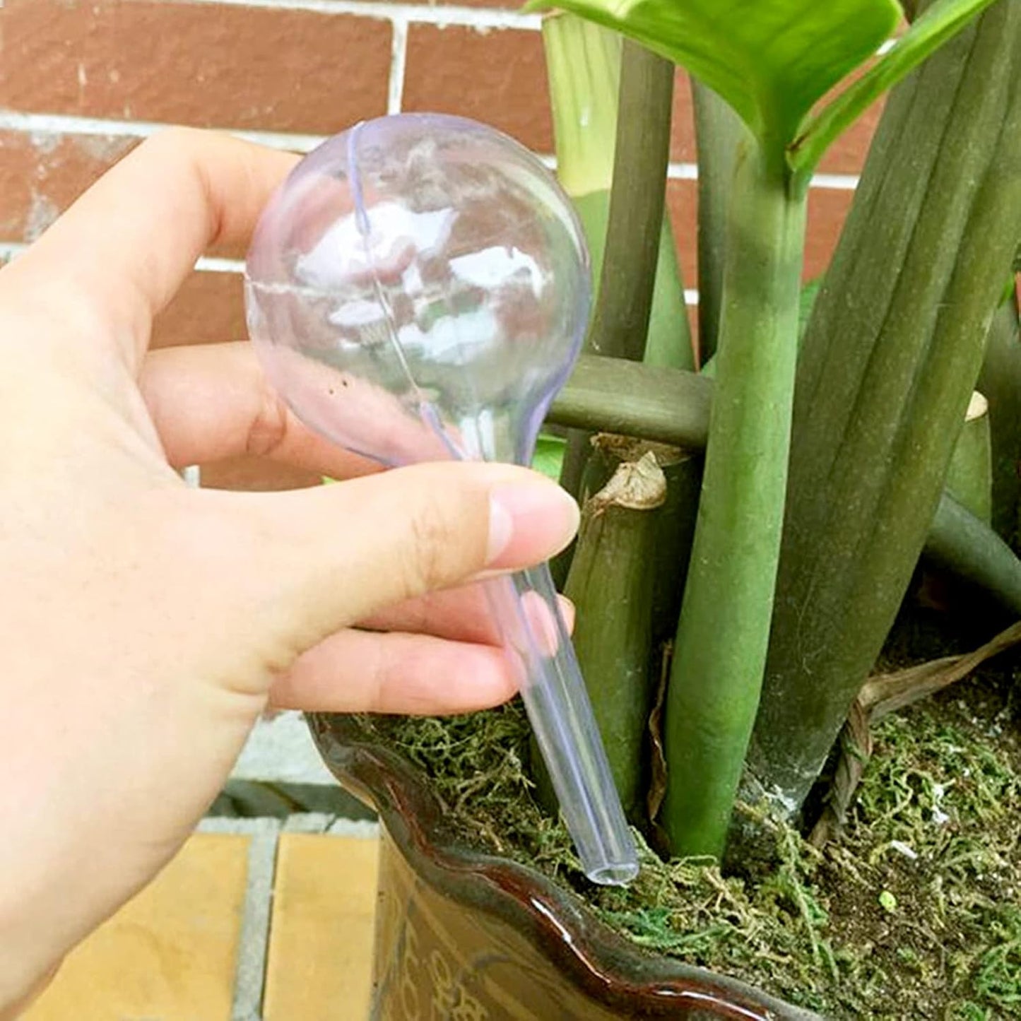 8 Pcs Clear Plant Watering Globes,Plastic Self Watering Bulbs Ball,Garden Water Device for Plant Indoor Outdoor(Small)