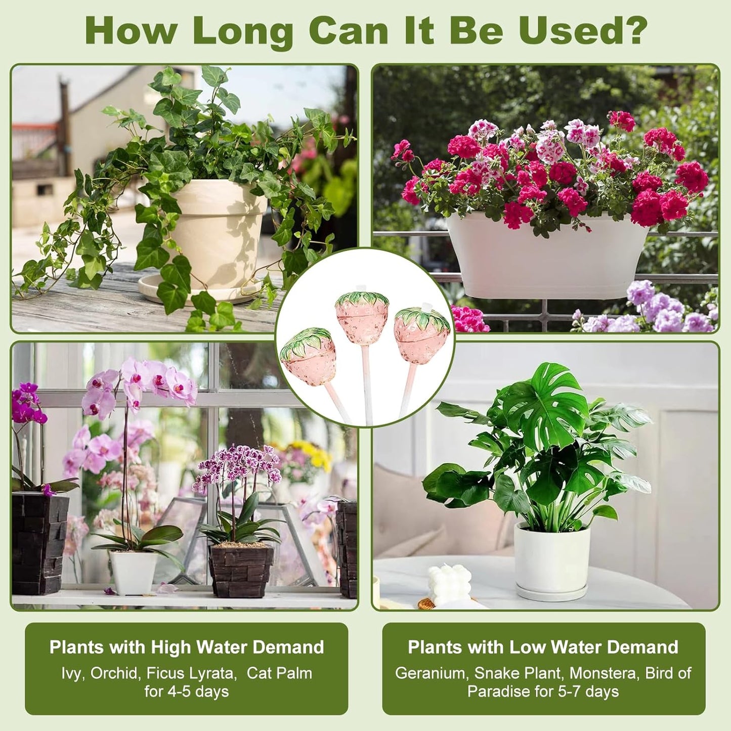 3 Packs Strawberry Plant Watering Globes, Large Water Globes for Indoor Plants, Glass Self Watering Planter Insert, Top-Fill Watering Bulbs for Indoor Outdoor Plants