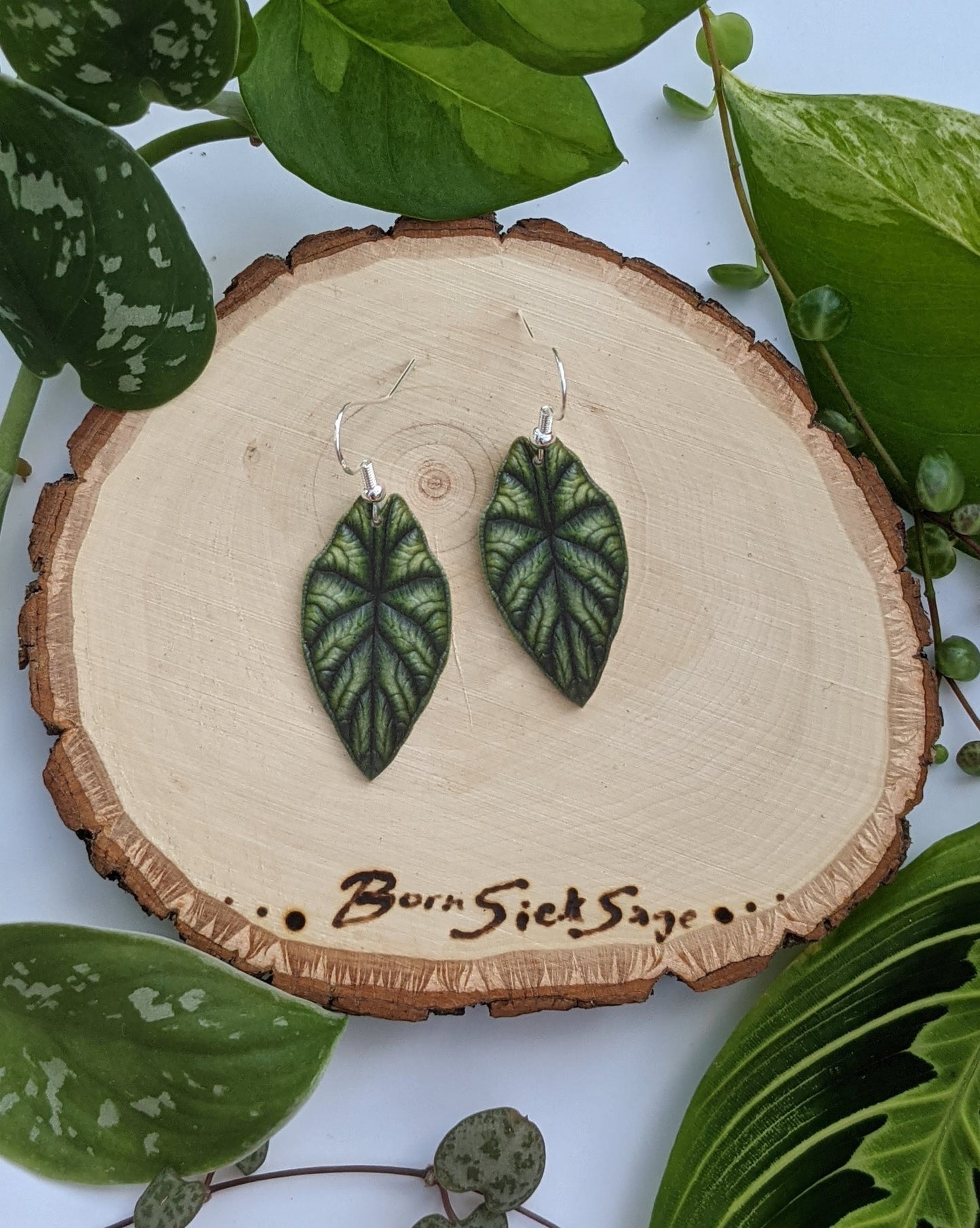 Dragon Scale Alocasia Botanical Houseplant Leaf Earrings