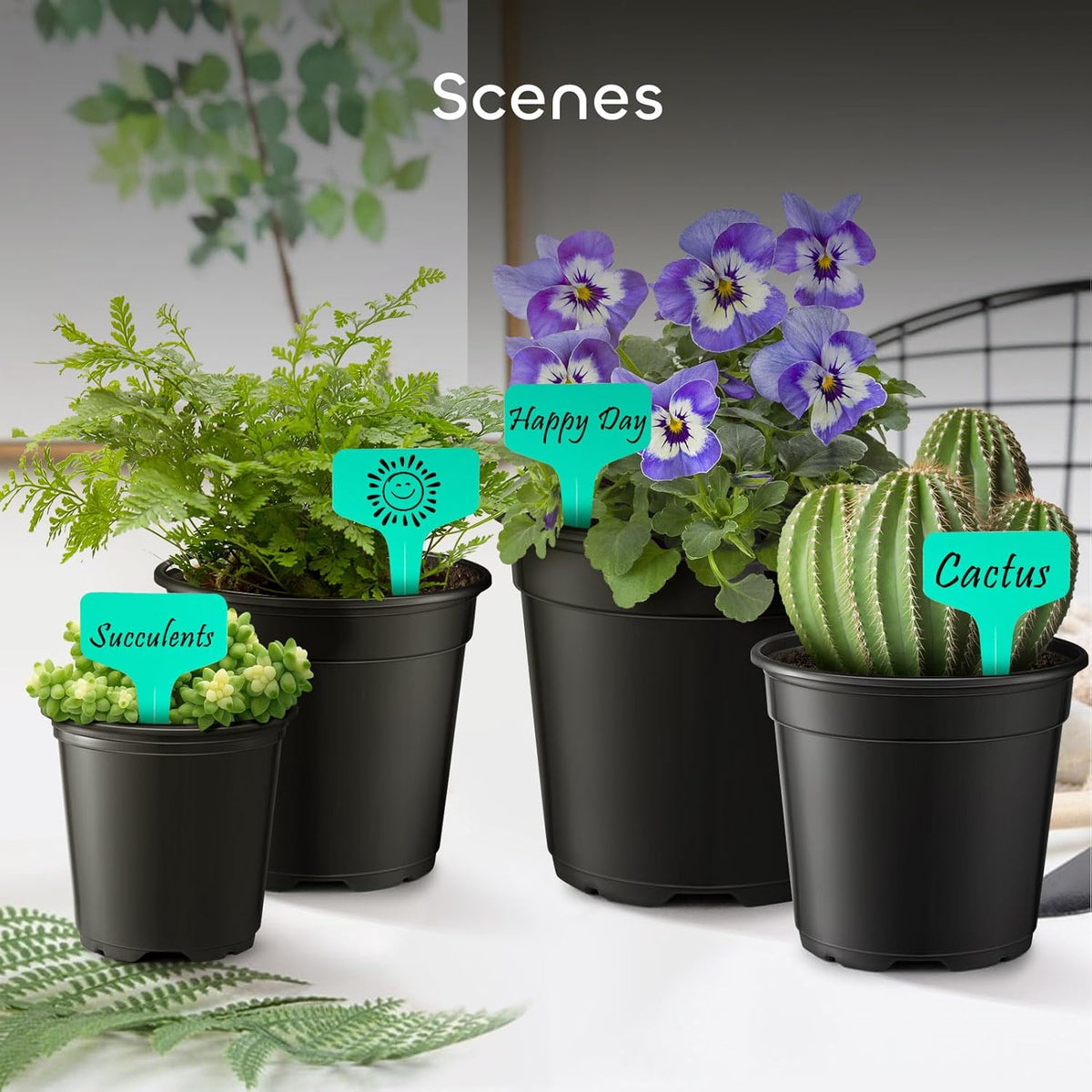 Nursery Pots with Drainage Holes Pack of 24 Pcs 3.5/4.5/5.5/6.5 Inch and Plant Label Flexible Seedling Pots Seed Starting Planter for Indoor Outdoor Flowers Succulents Cactus