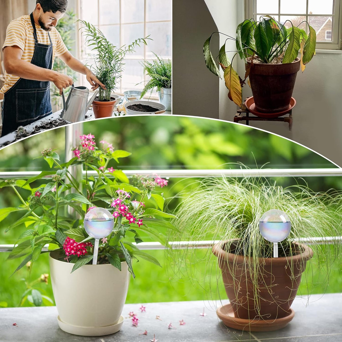 Plant Watering Globes - 4 Pack Iridescent Rainbow Gradient Color Clear Glass Plant Watering Devices - Self Watering Planter Insert for Indoor and Outdoor Plants - Measures 9" L X 2.9" D
