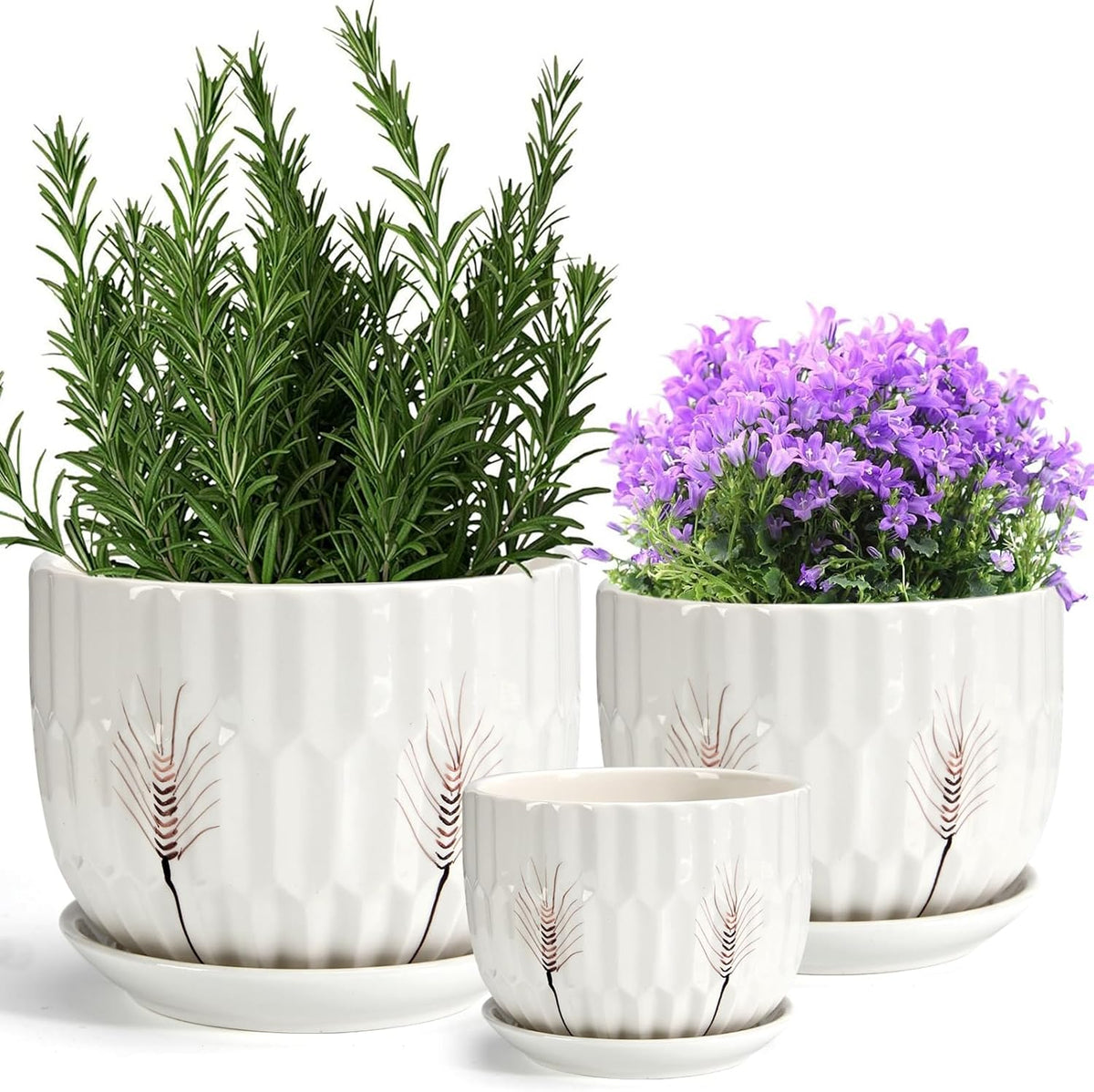 Ceramic Plant Pots 4" & 5.5" & 7" Plant Pots Indoor with Drainage, Set of 3 Ceramic Pots for Plants, Outdoor Flower Pot with Drainage Holes and Saucers
