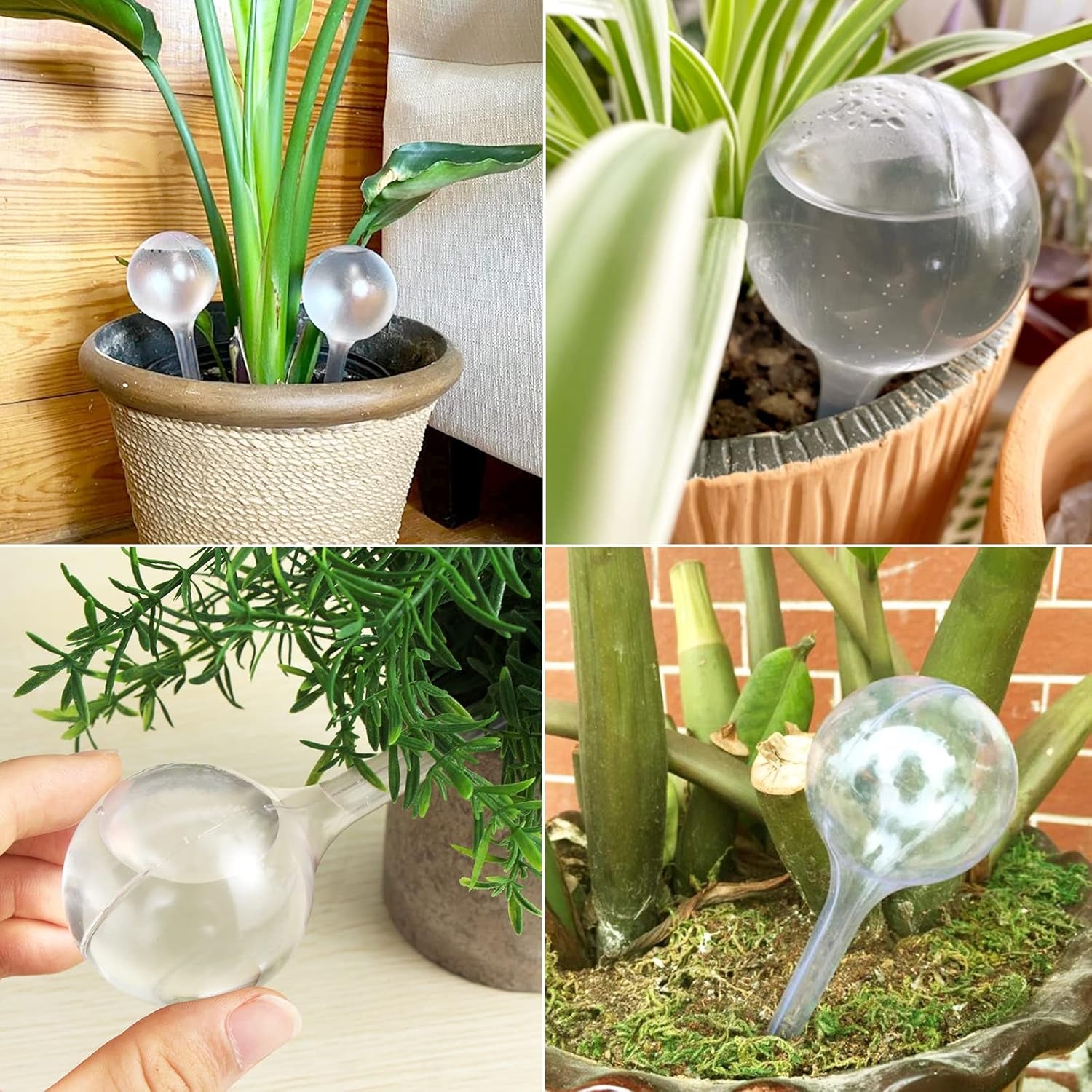 8 Pcs Clear Plant Watering Globes,Plastic Self Watering Bulbs Ball,Garden Water Device for Plant Indoor Outdoor(Small)