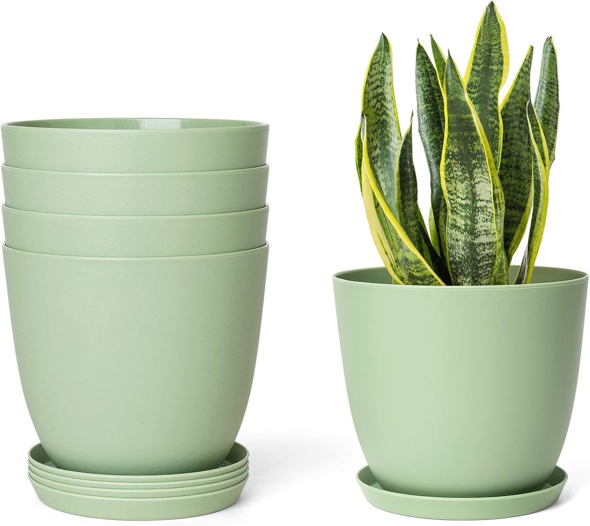 6.5" Plastic Plant Pots for Plants with Saucers, Indoor Set of 5 Plastic Planters Modern Flower Pot with Drainage Hole for All House Plants, Herbs, Flowers, and Seeding Nursery, Maccha