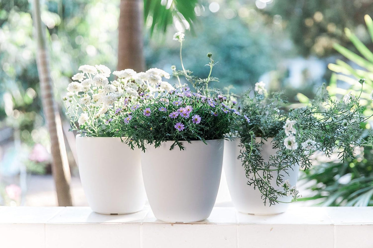 Self Watering Pots for Indoor Plants 3 Pack - Flower Pot with Water Level Indicator for Plants, Grow Tracking Tool - Self Watering Planter Plant Pot - Coco Coir - White