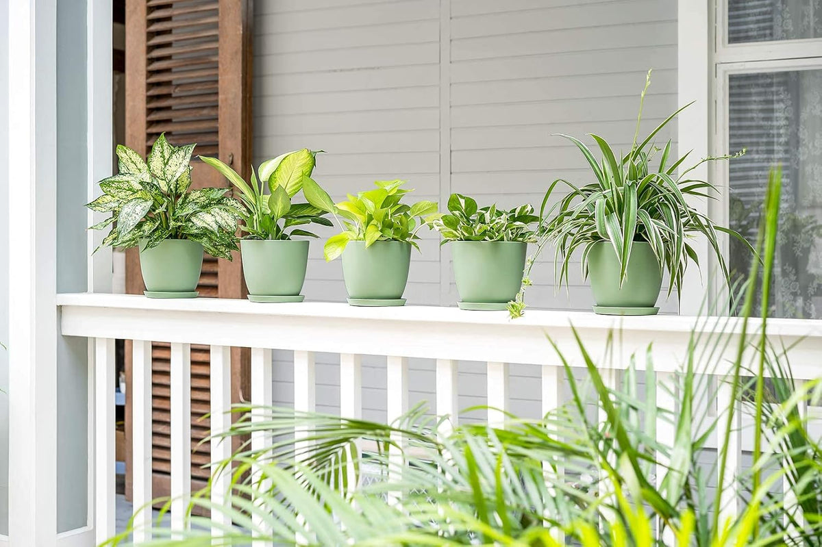6.5" Plastic Plant Pots for Plants with Saucers, Indoor Set of 5 Plastic Planters Modern Flower Pot with Drainage Hole for All House Plants, Herbs, Flowers, and Seeding Nursery, Maccha