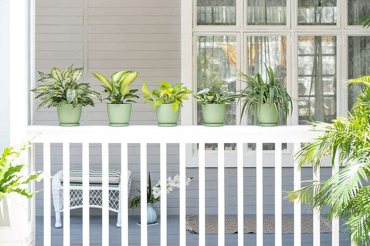 6.5" Plastic Plant Pots for Plants with Saucers, Indoor Set of 5 Plastic Planters Modern Flower Pot with Drainage Hole for All House Plants, Herbs, Flowers, and Seeding Nursery, Maccha
