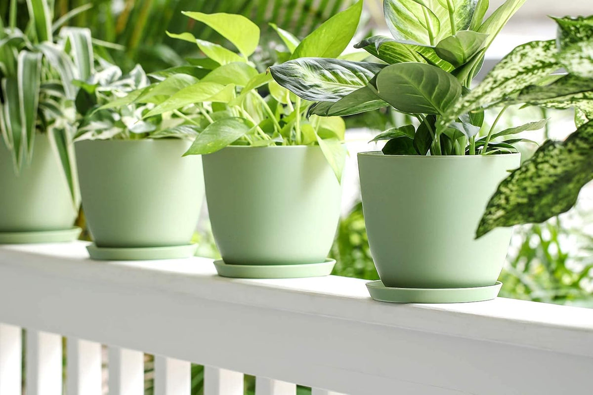 6.5" Plastic Plant Pots for Plants with Saucers, Indoor Set of 5 Plastic Planters Modern Flower Pot with Drainage Hole for All House Plants, Herbs, Flowers, and Seeding Nursery, Maccha