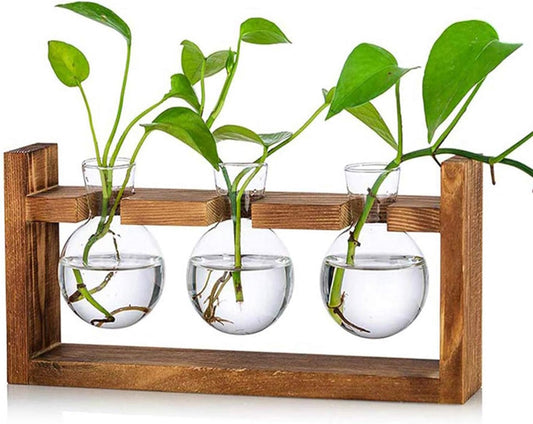 Glass Plant Terrarium - 3 Bulbs Propagation Station with Retro Wood Stand Indoor Garden Planter, Bulb Vase & Desktop Decor for Home Kitchen Wedding, Gift for Women & Plant Lover