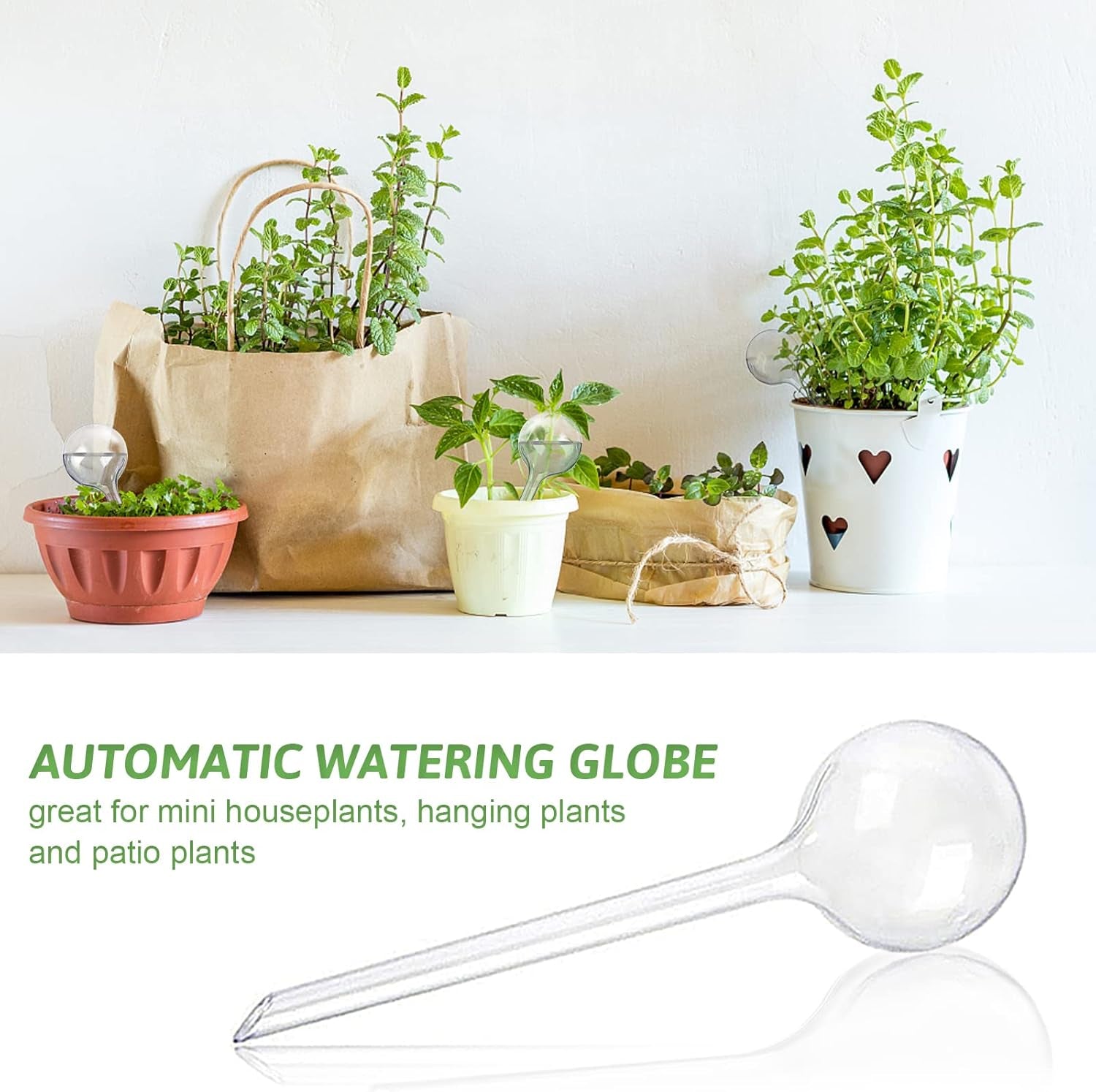 8 Pcs Clear Plant Watering Globes,Plastic Self Watering Bulbs Ball,Garden Water Device for Plant Indoor Outdoor(Small)