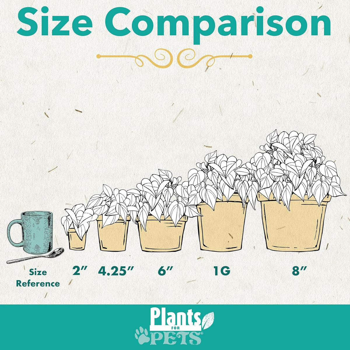 Essential Houseplant Collection (4PK) Live Plants Indoor Plants Live Houseplants in Plant Pots, Easy House Plants Indoors Live, Snake Plant, Pothos in Potting Soil, Clean Air Plants by