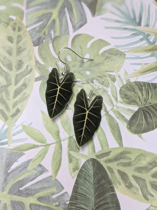 Alocasia Frydeck Botanical Leaf Handmade Earrings
