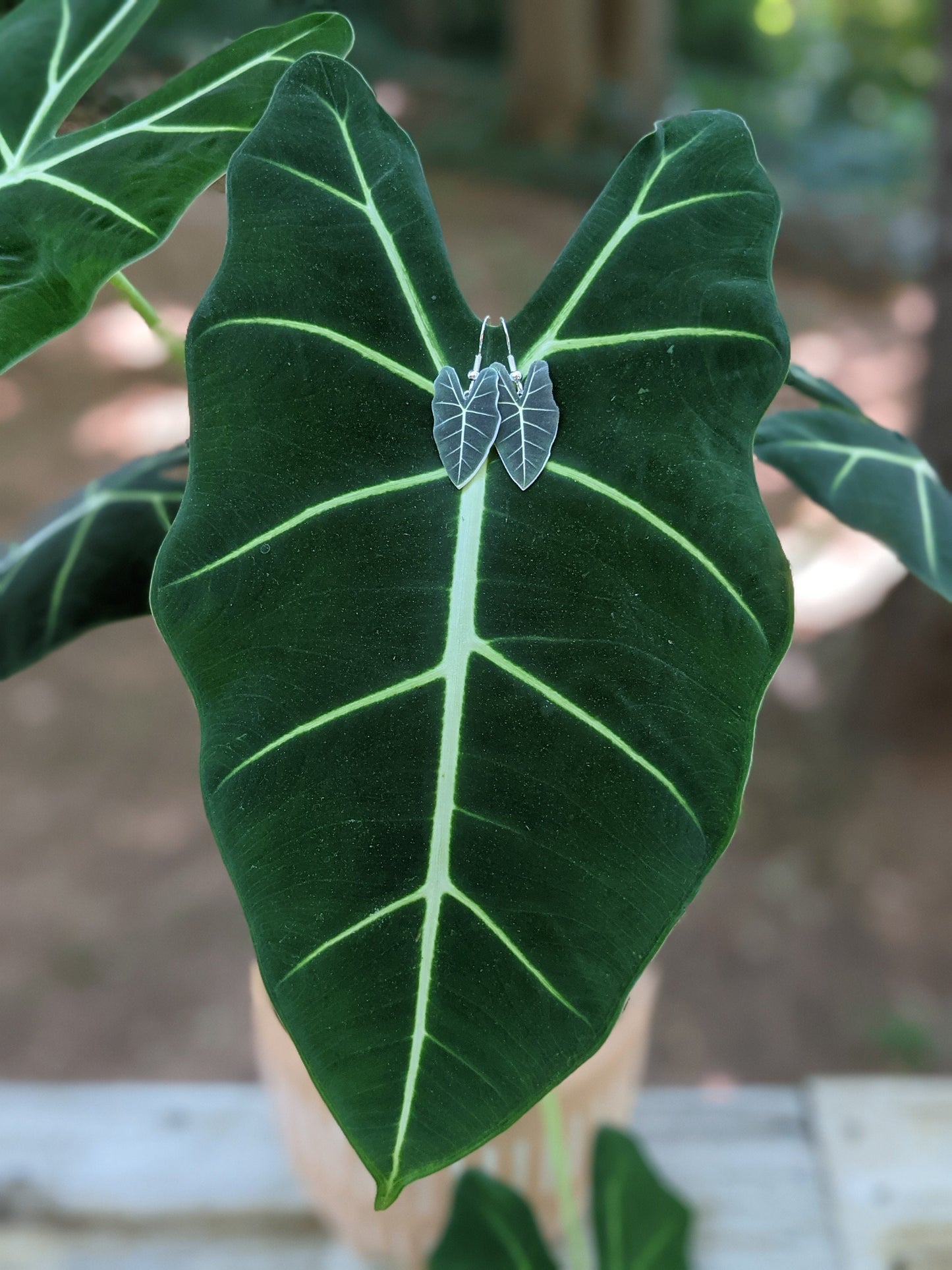 Alocasia Frydeck Botanical Leaf Handmade Earrings