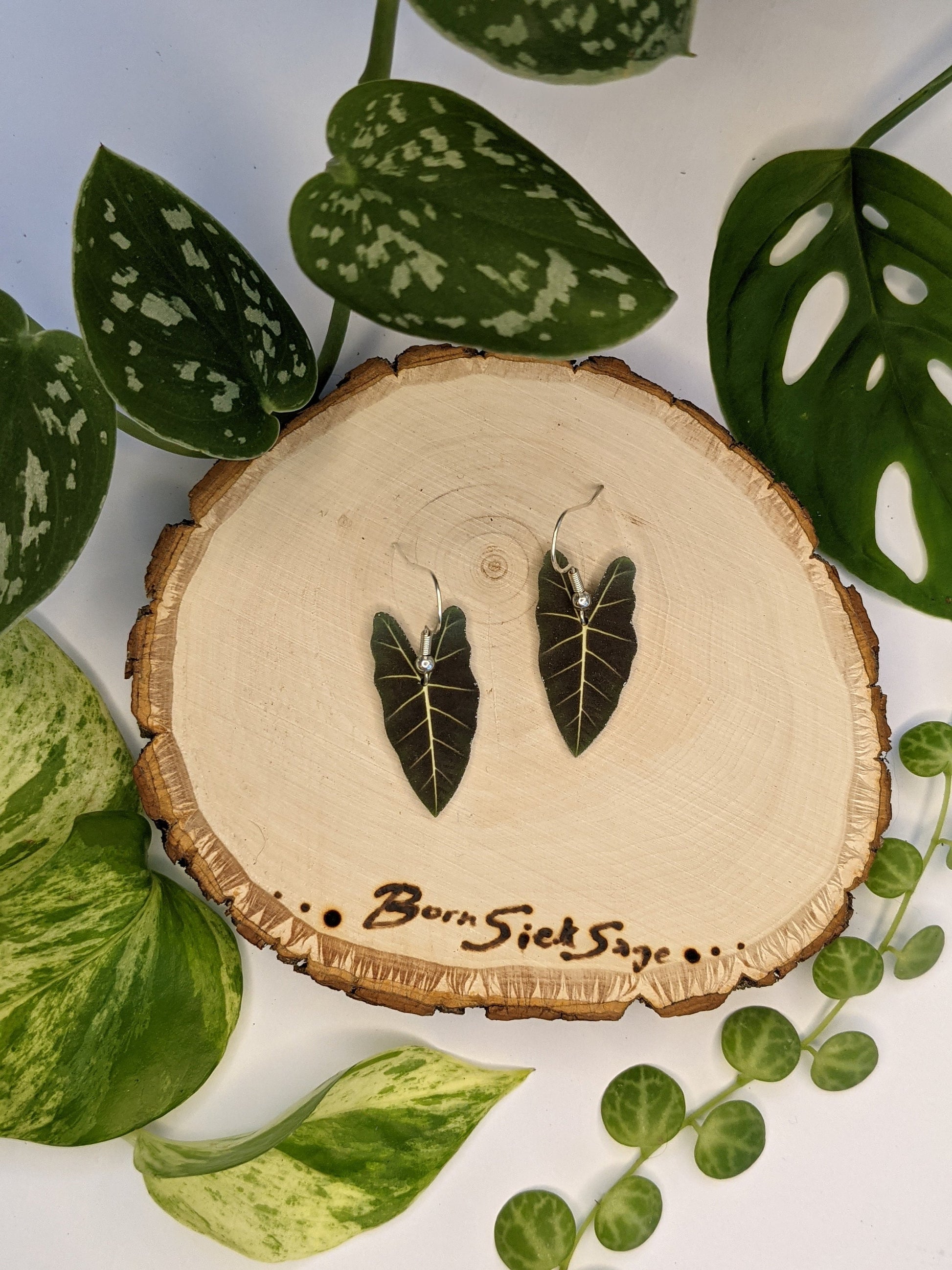 Alocasia Frydeck Botanical Leaf Handmade Earrings