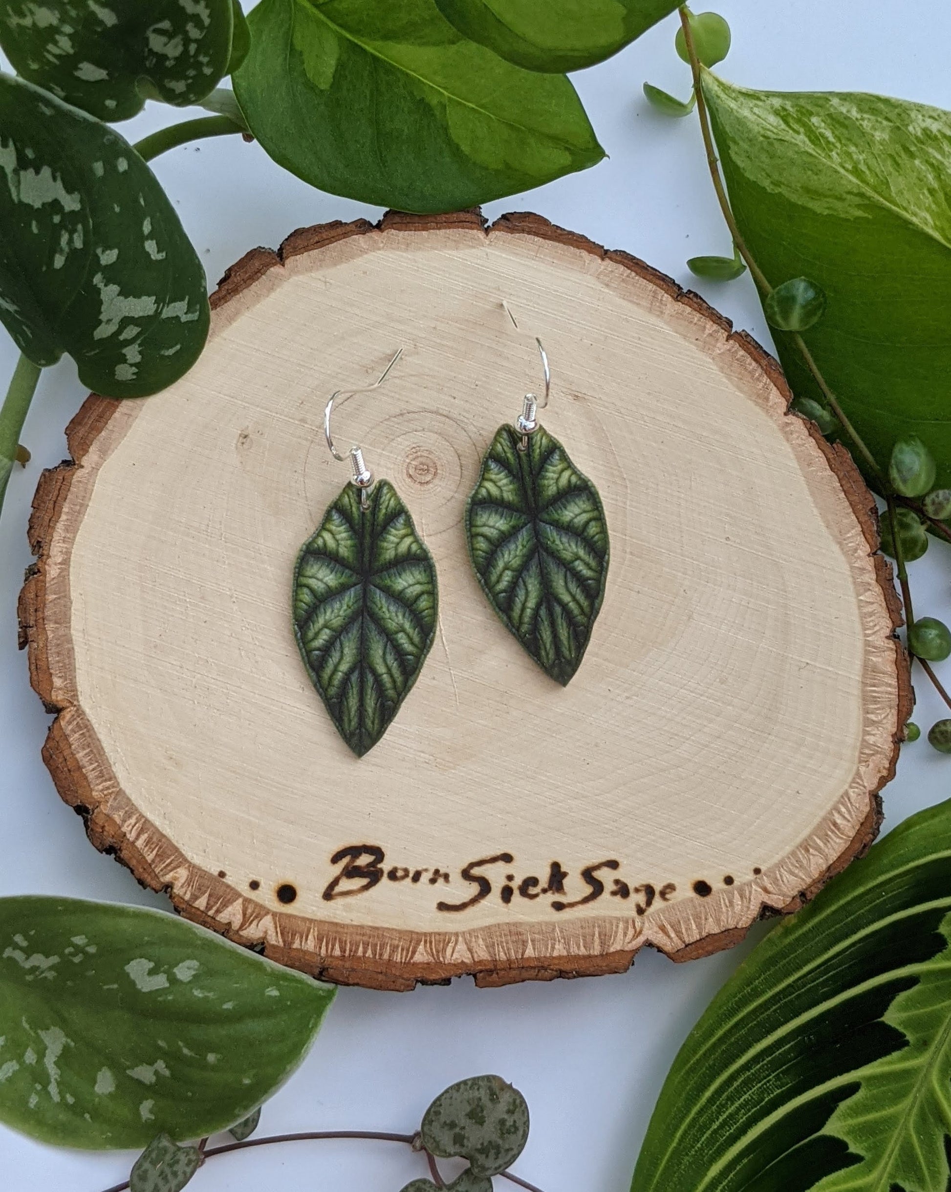 Dragon Scale Alocasia Botanical Houseplant Leaf Earrings