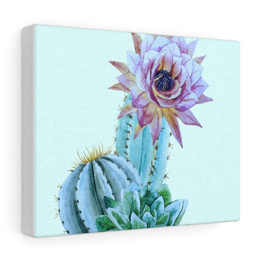 Cactus flower canvas