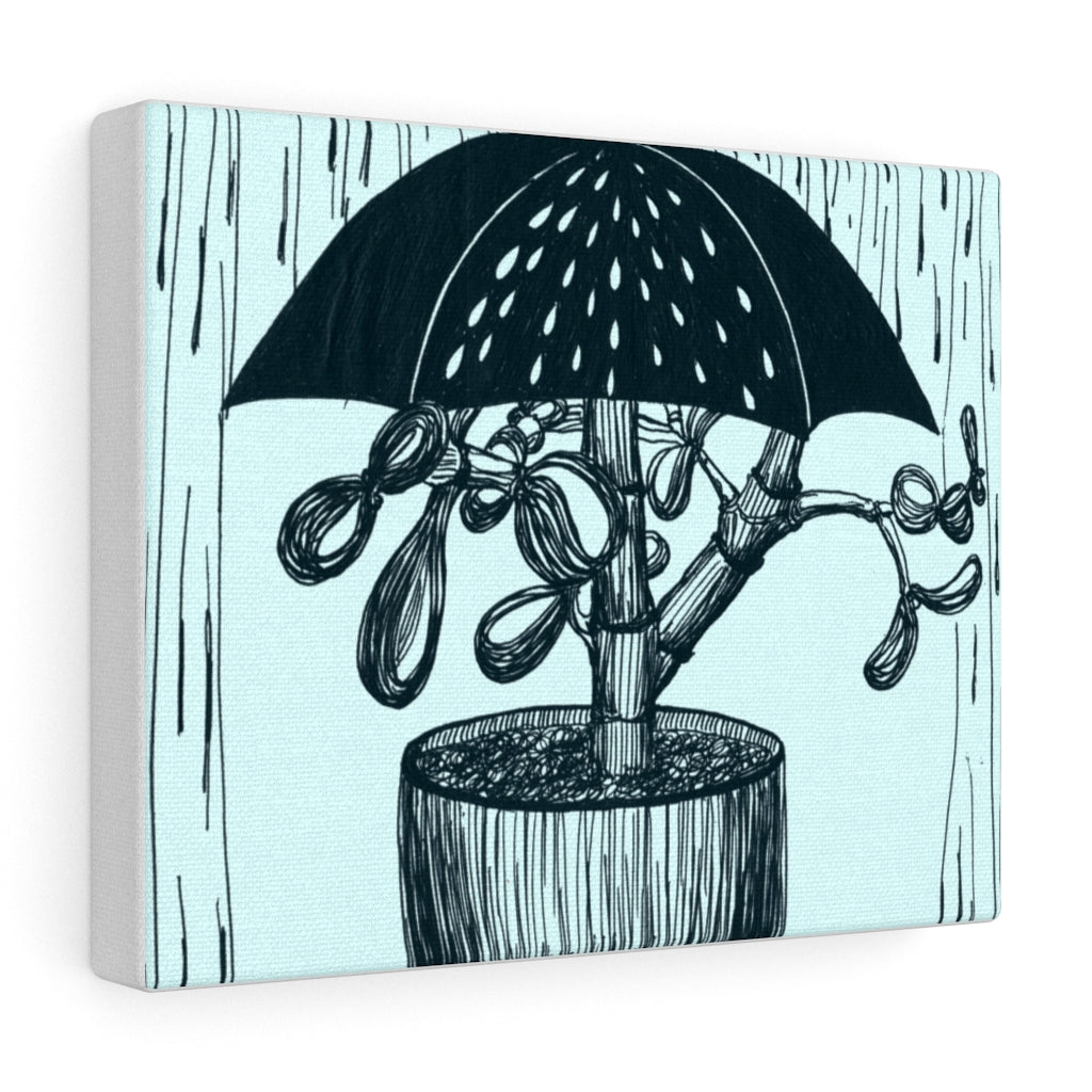 Remember not to overwater canvas