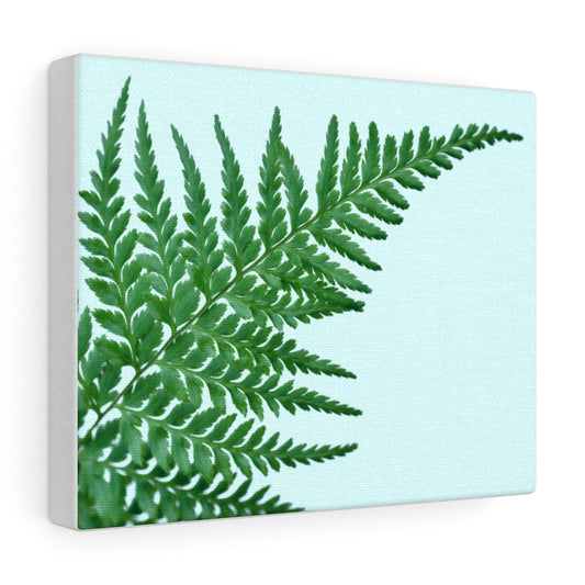 Fern Leaf canvas